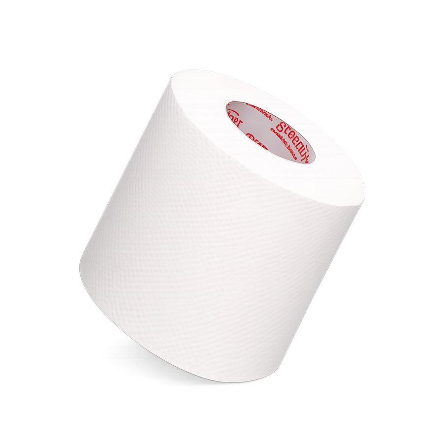 TISSUE ROLL PUDUMJEE 350 SHEETS