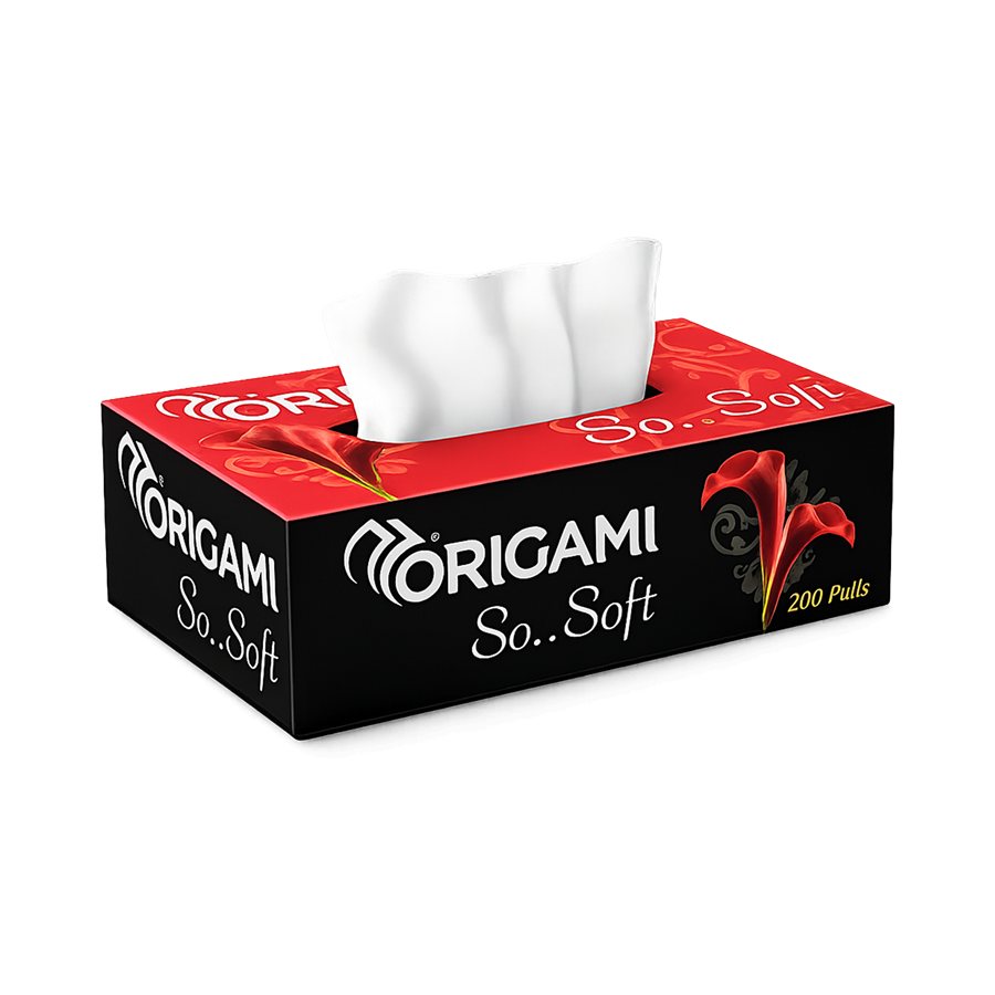 FACIAL TISSUE BOX ORIGAMI