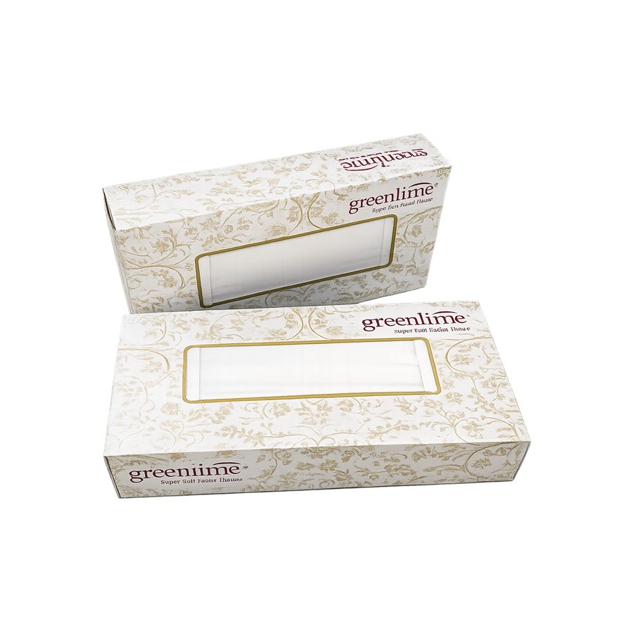 FACIAL TISSUE BOX PUDUMJEE
